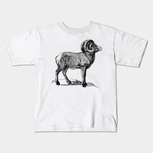 Bighorn Kids T-Shirt